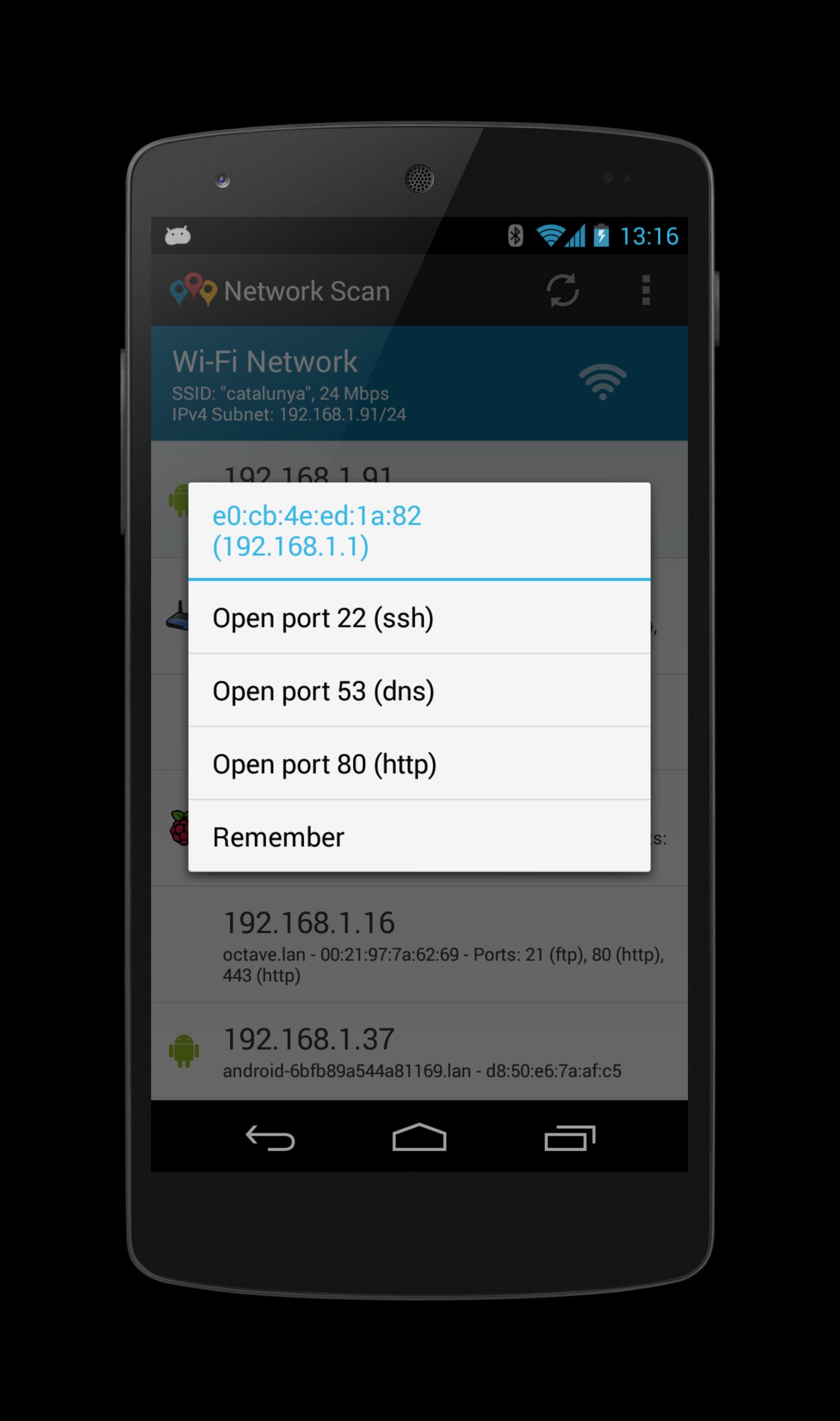 Network Scan