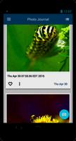 Photo Journal