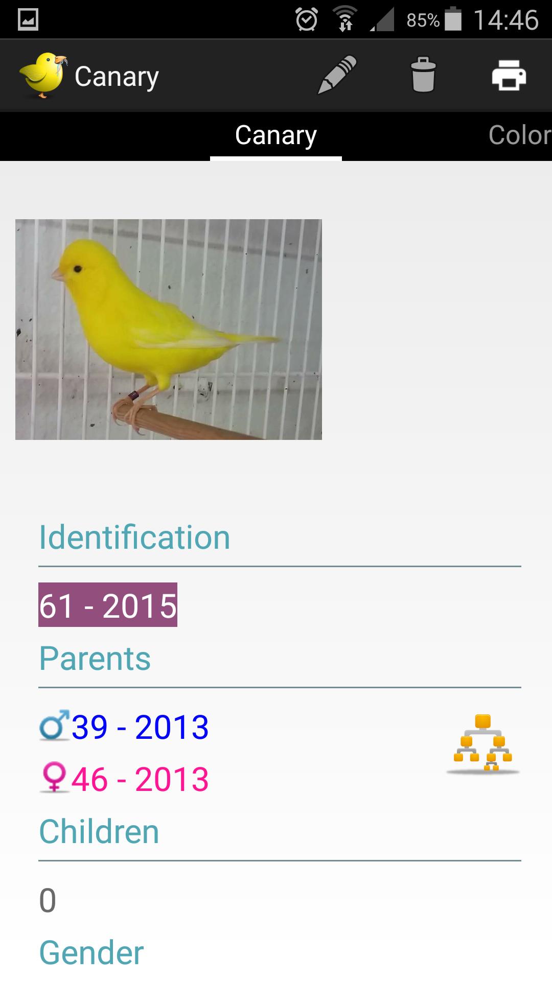 CanaryGen