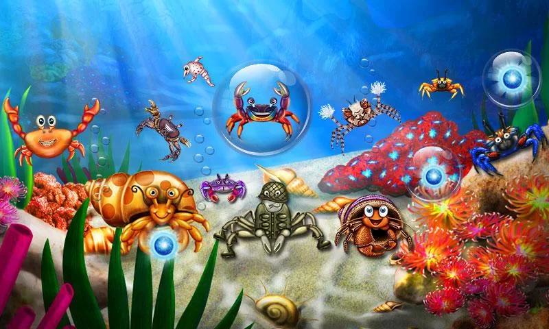Dream Fish Seasons
