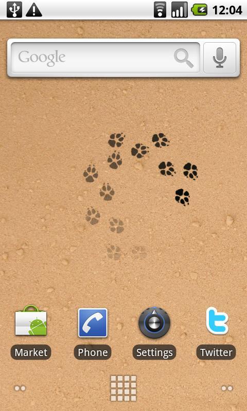 Lonely Coyote