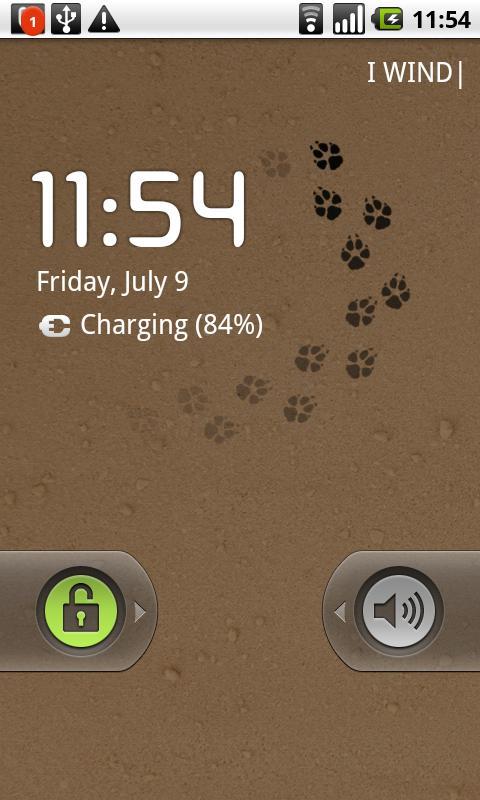 Lonely Coyote
