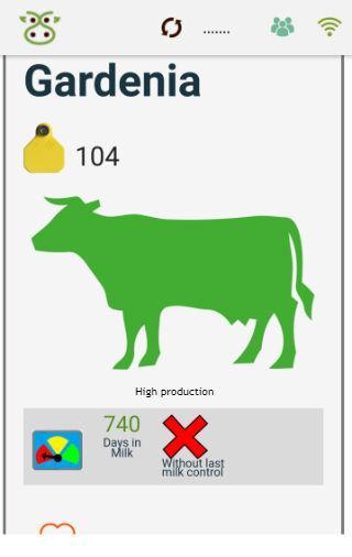 Tambero Cattle Management
