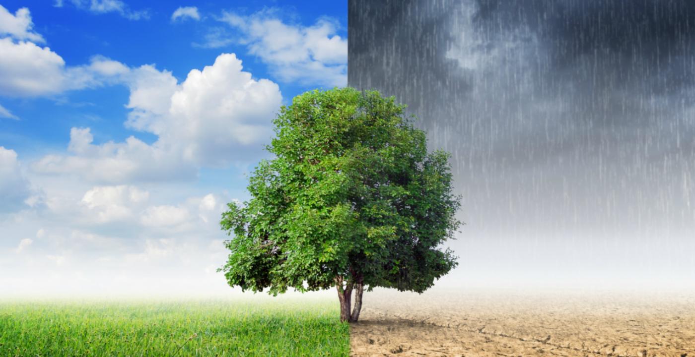Clima en Peru