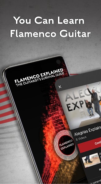 Flamenco Explained