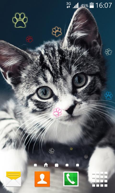 Kitty Live Wallpaper