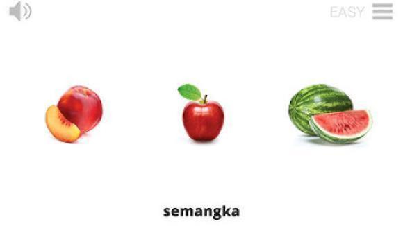 Lyrebird: Learn INDONESIAN