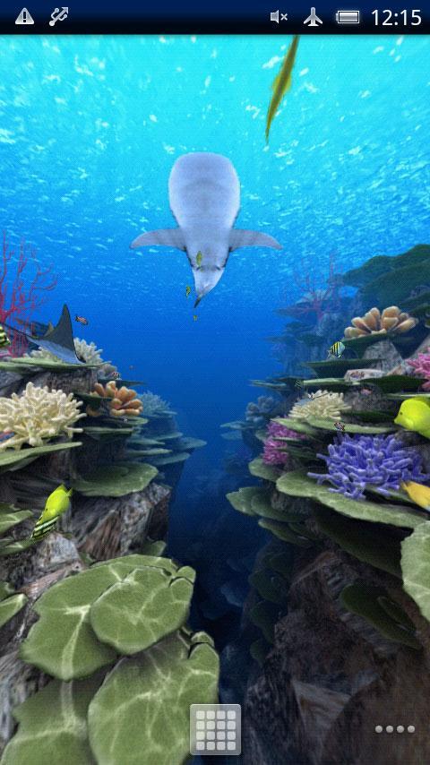 Coral Reef of Kerama Trial