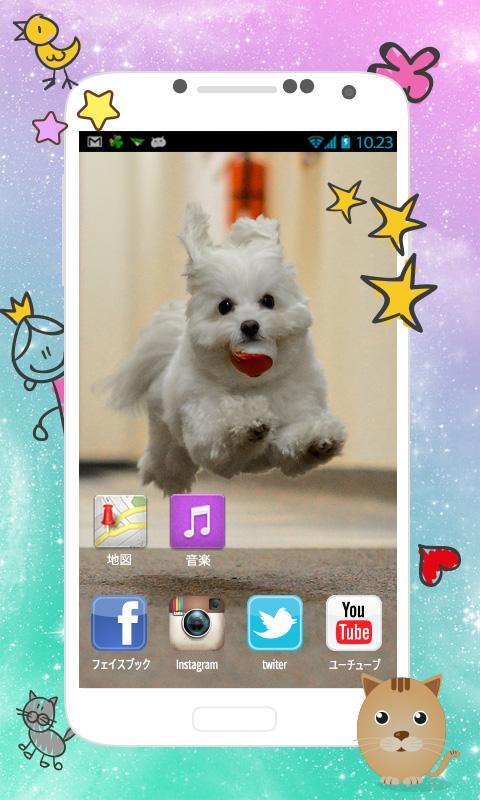 Cute Maltese wallpaper 2015