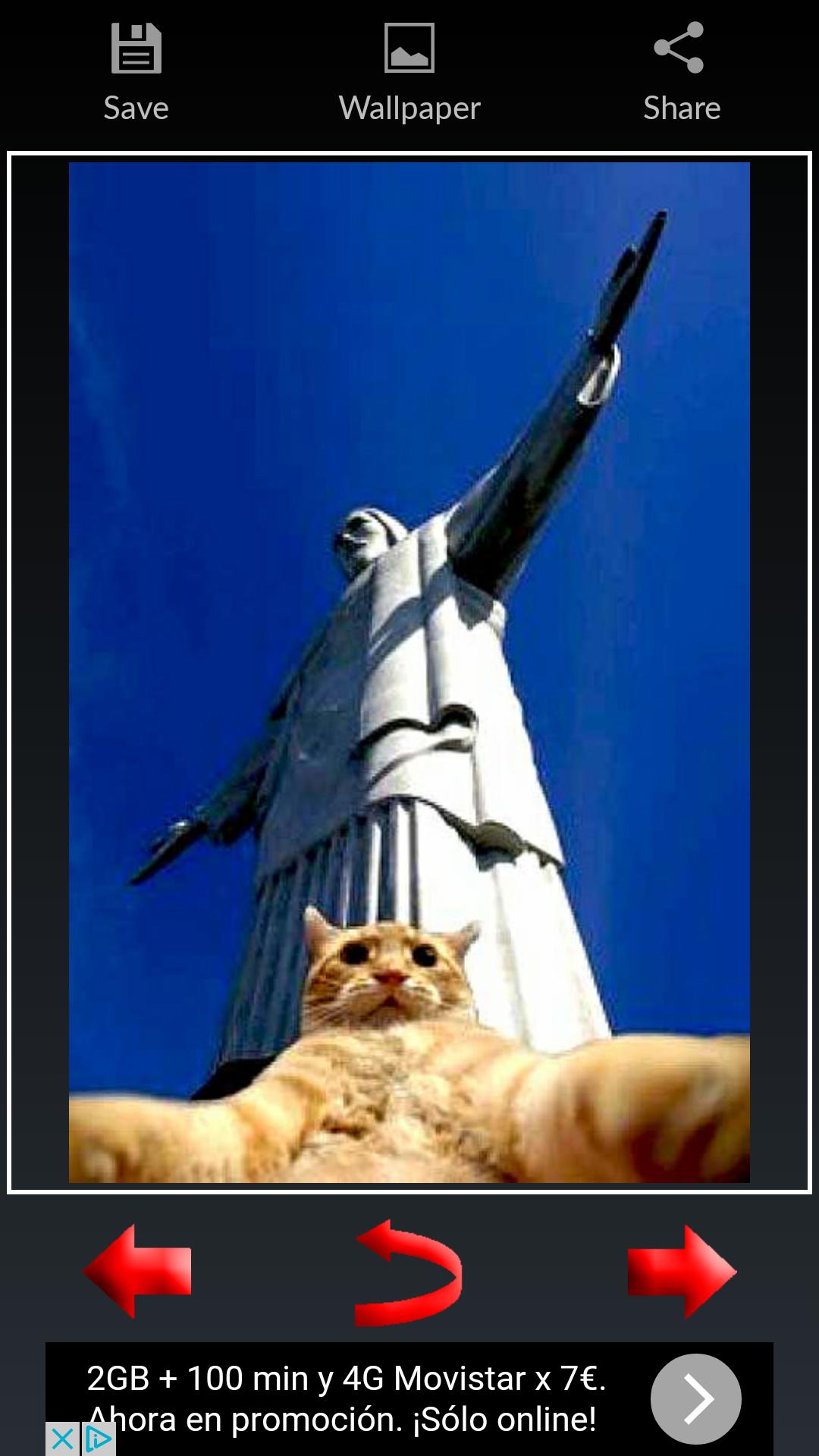 Funny Images and Crazy Selfies