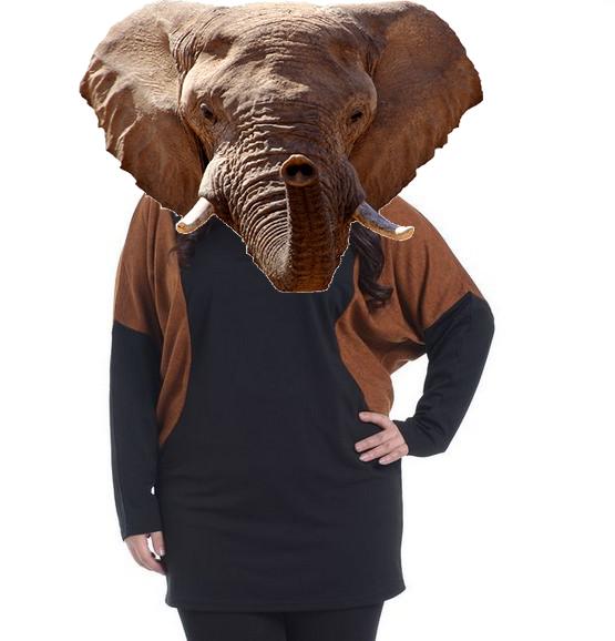 Changing face funny animals