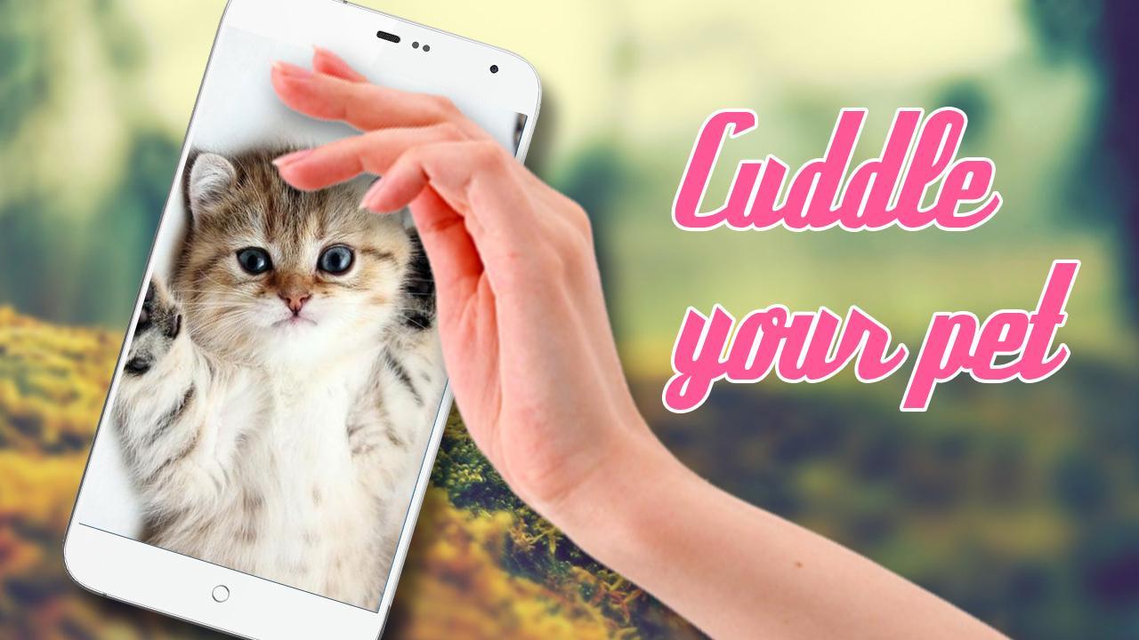 Stroke The Cat Simulator