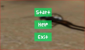 Cannon Duel - Shoot At Guns