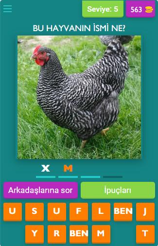 Soru Cevap Kelime Oyunu