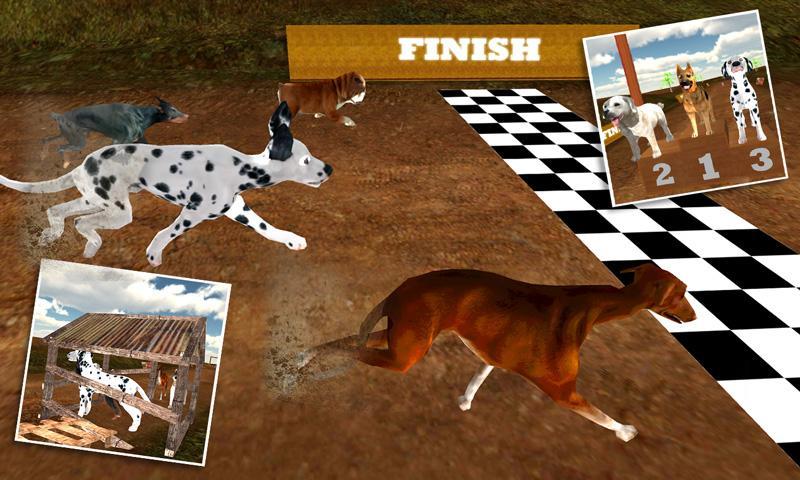 Greyhound Dog Racing 3D