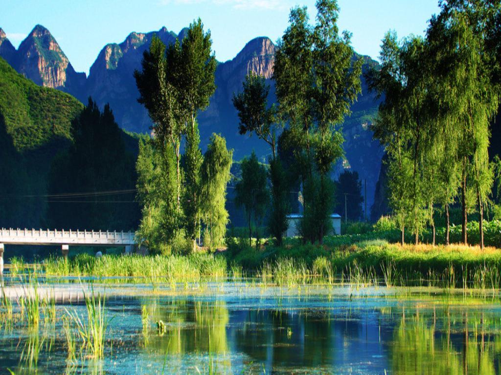 Ninja: Expert das Batalhas