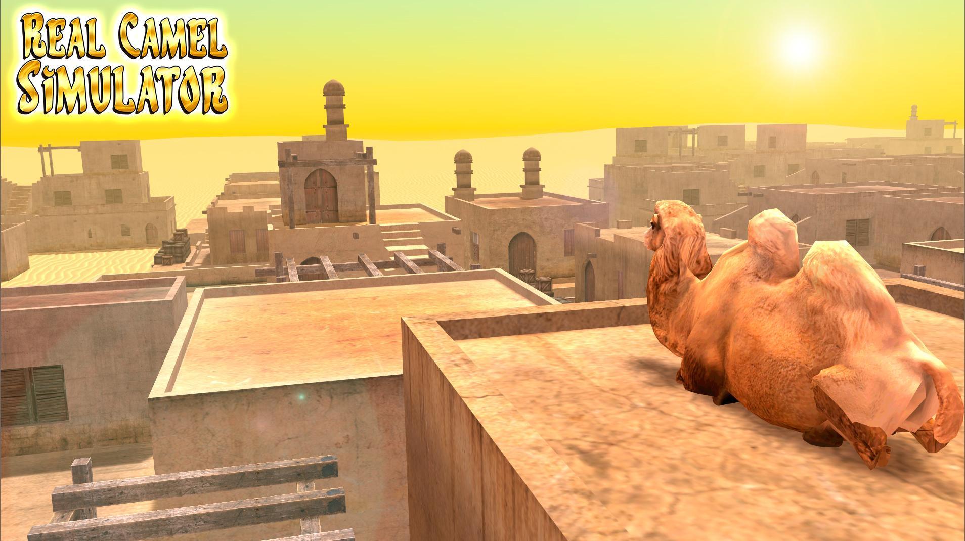 Real Camel Simulator