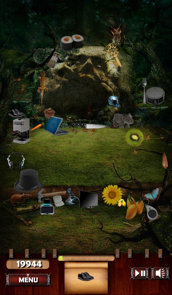 Hidden Object - Dark Woods