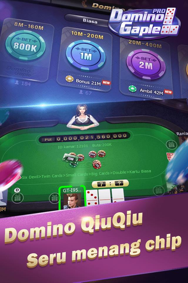 Domino Gaple Pro