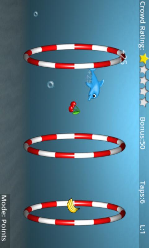Dolphin Dive