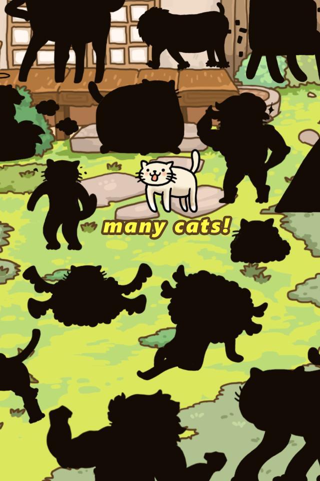 Cat Evolution World