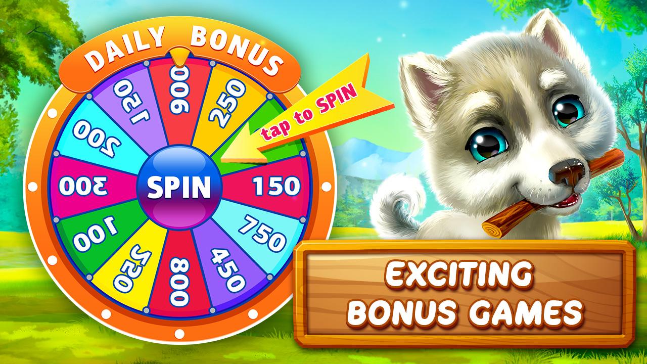 Bingo Dog