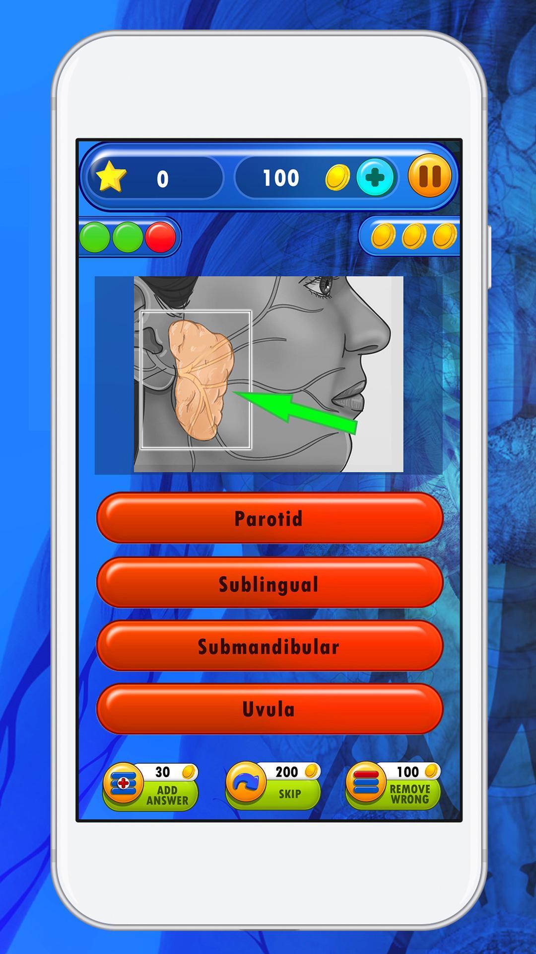 Human Body Anatomy Quiz