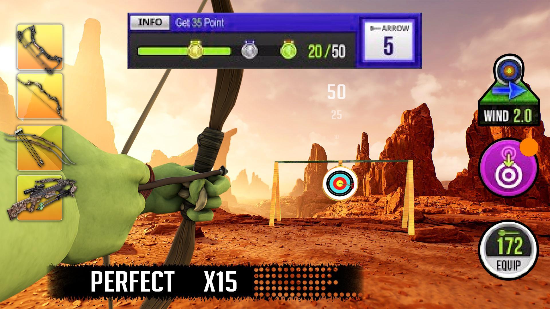 Modern Archery Robin Hood
