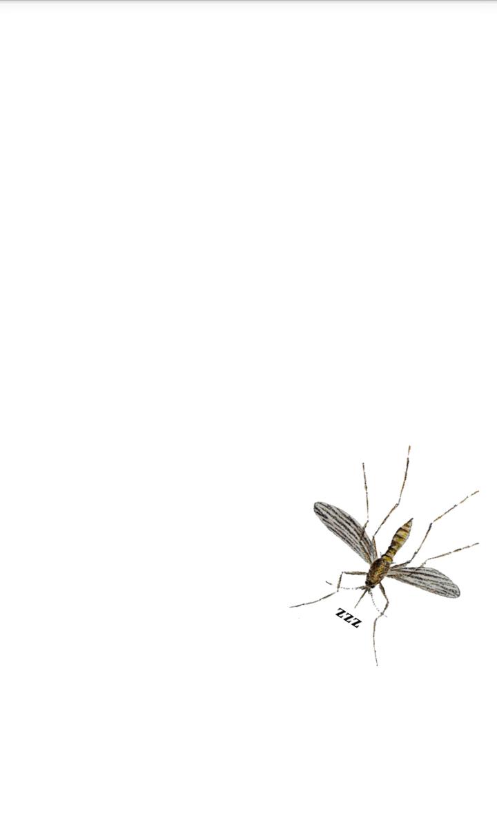 Mosquito simulator