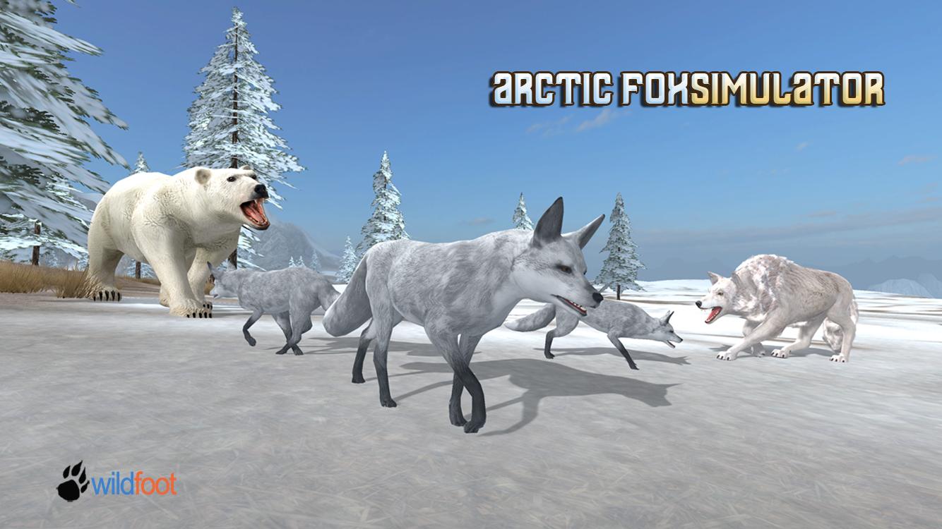 Arctic Fox