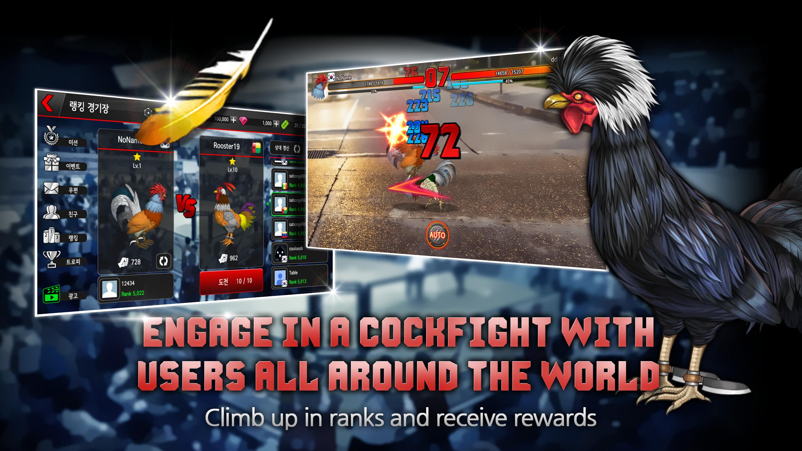 CockFight