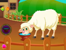 Sheep Baby Birth