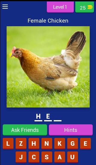 Animal Name: Male, Female, & Young (Animal Game)