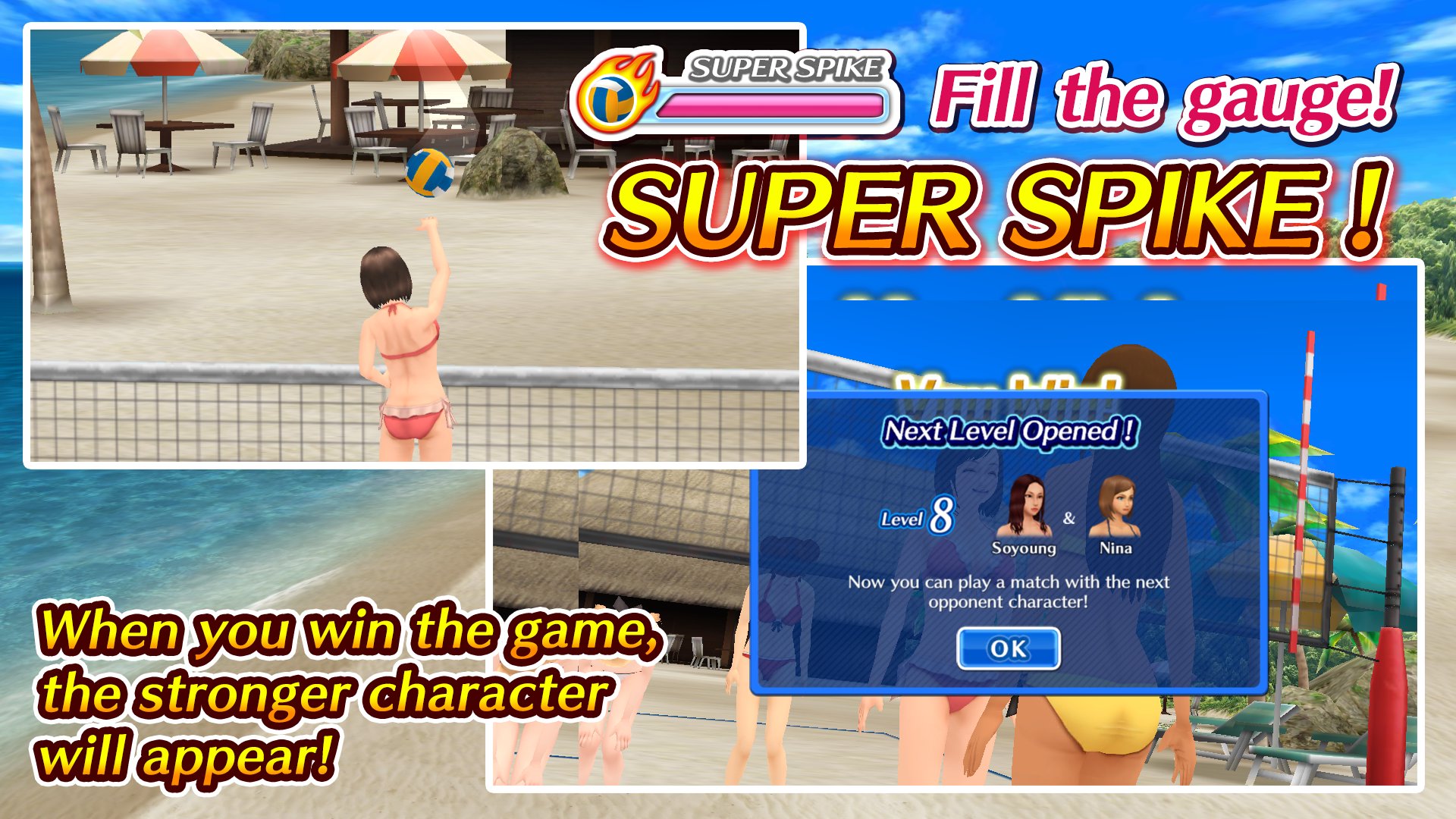 Beach Volleyball Paradise