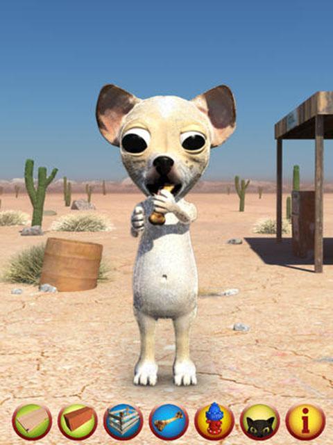 KungFu Dog