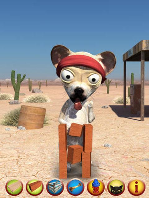 KungFu Dog