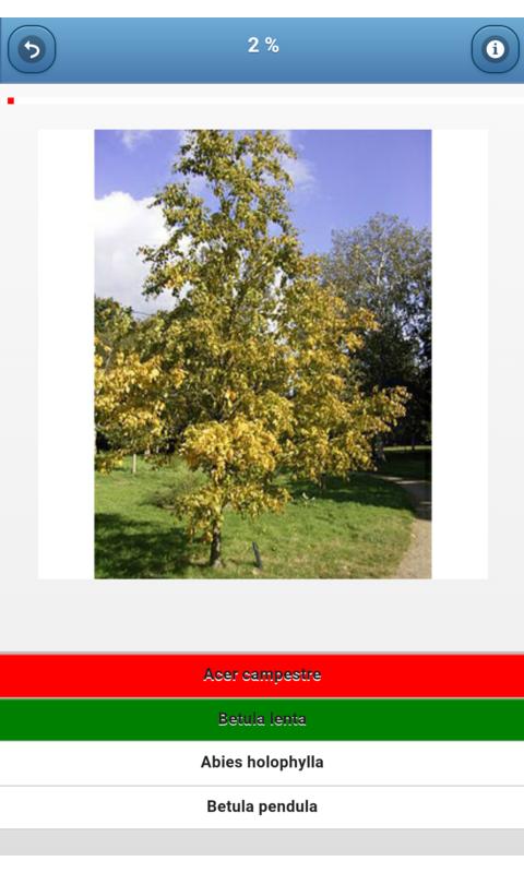 Trees - quiz