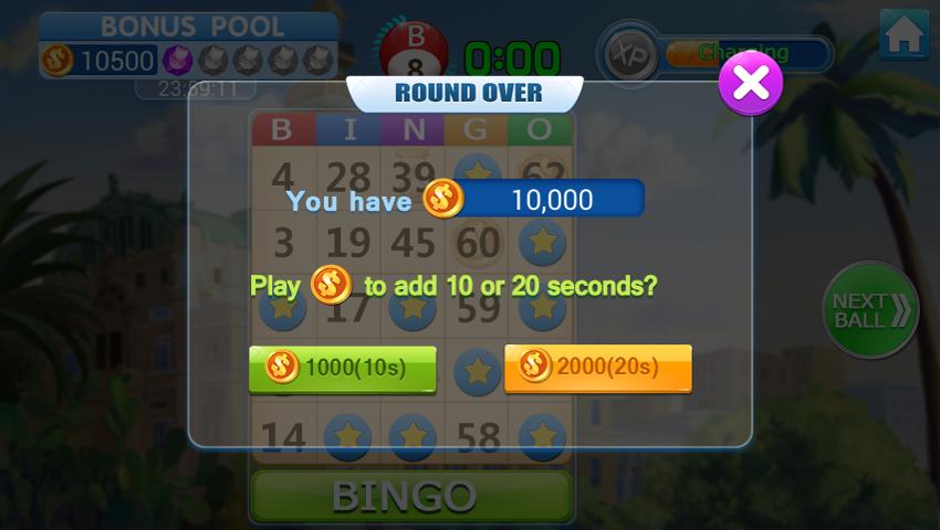 Bingo Superior