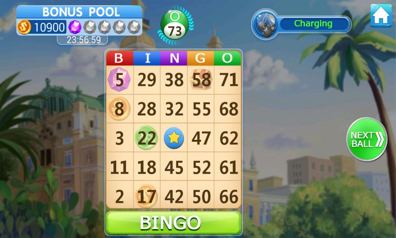Bingo Superior