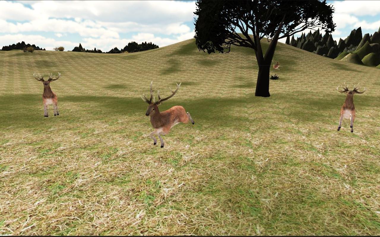 Stag Hunter Safari