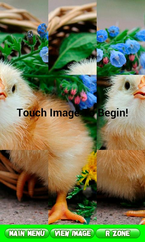 Animal Puzzles