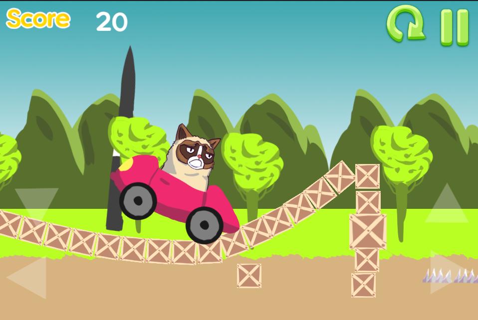 Grumpy Cat Drive