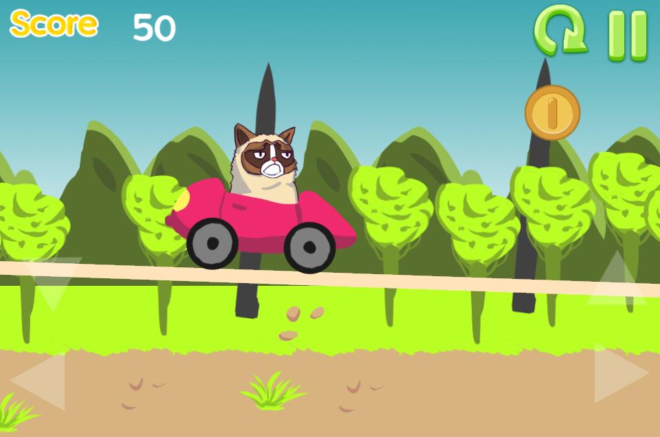 Grumpy Cat Drive