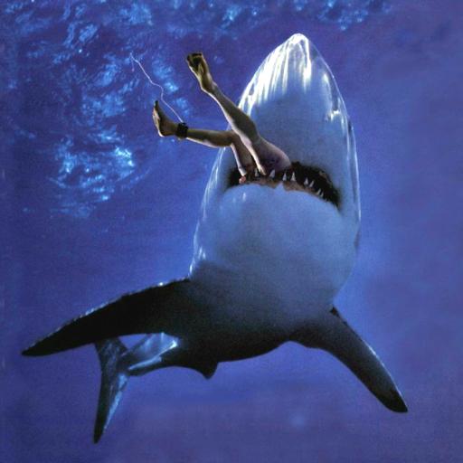Angry Shark Mermaid Run