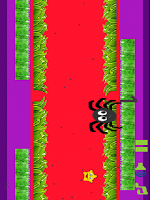 Spider Hunt Flies