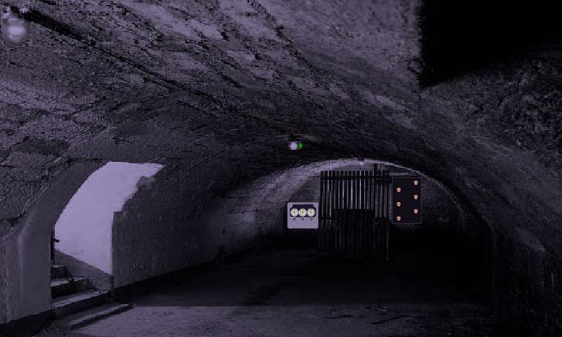 Secret Way Cellar Door Escape
