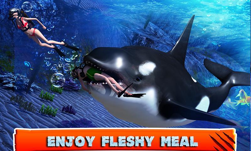 Killer Whale Beach Attack 3D