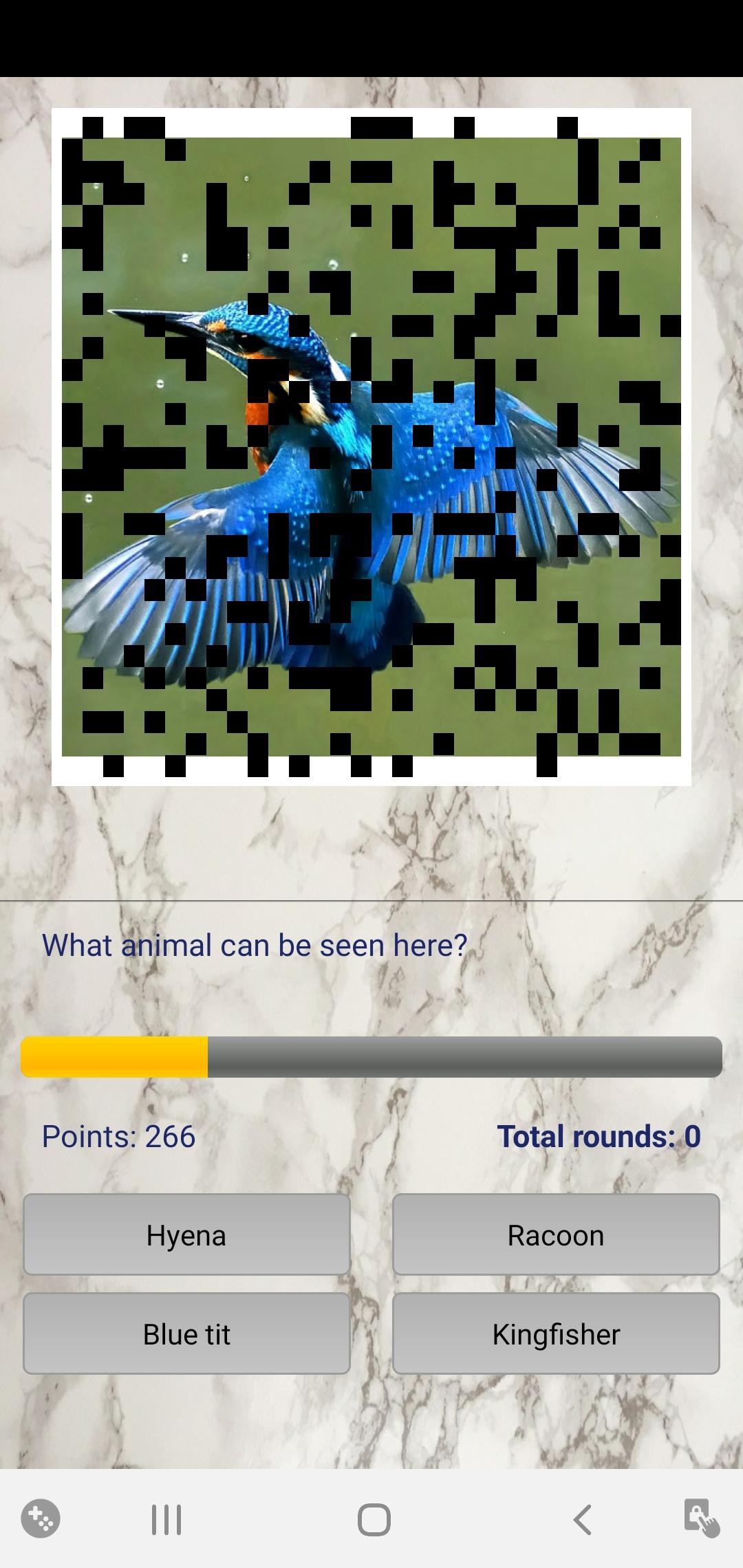 Photo Quiz