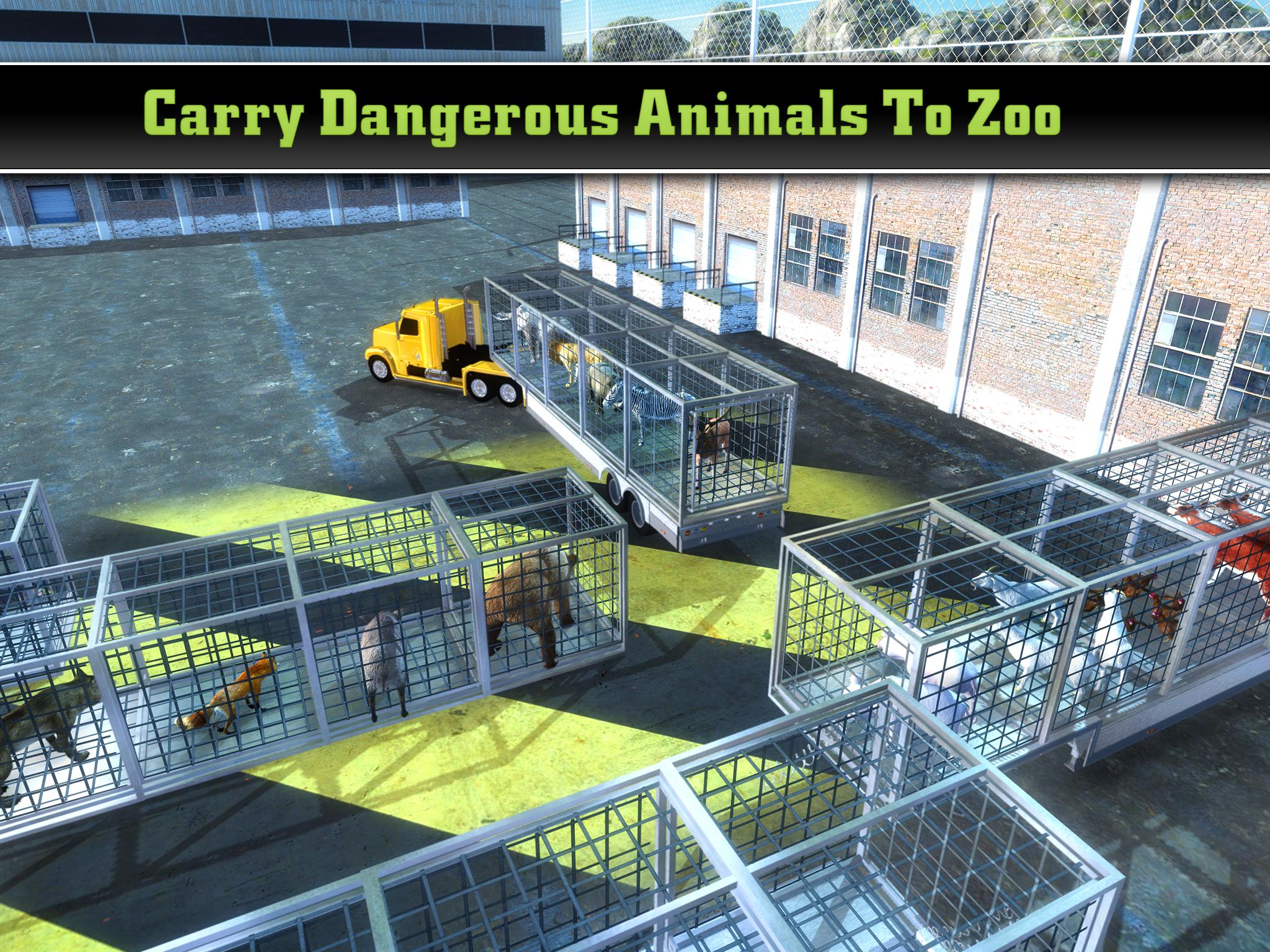 Zoo Animal Cargo Plane Airport