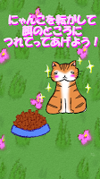 TeeterCat
